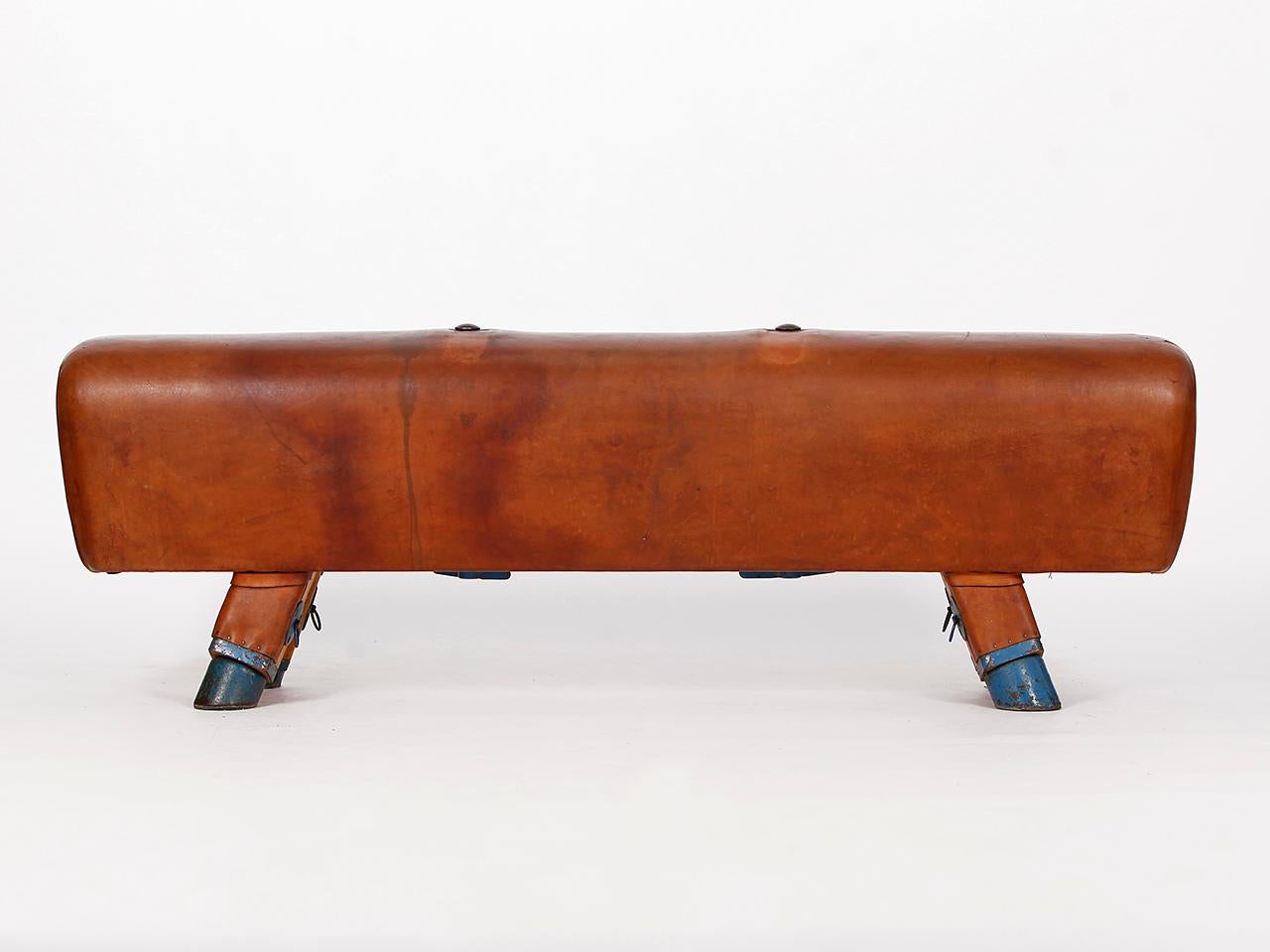 Industrial Gymnastic Leather Pommel Horse Bench, 1930s