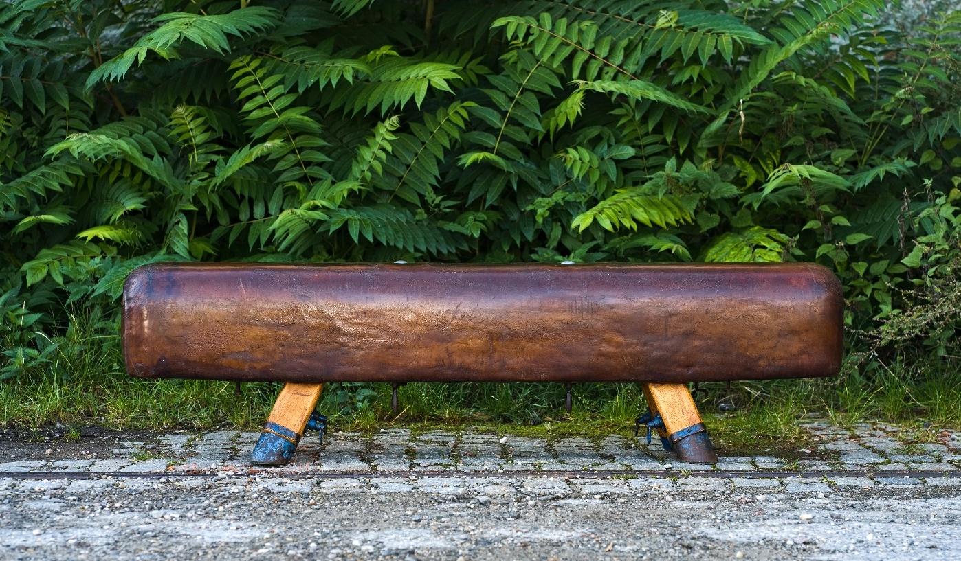 Czech Gymnastic Leather Pommel Horse Bench, 1930s