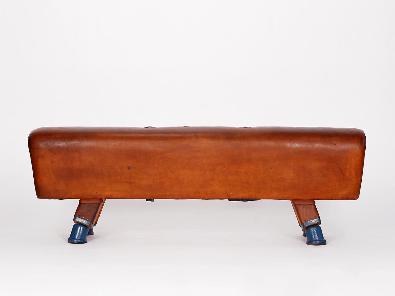 Gymnastic Leather Pommel Horse Bench, 1930s In Good Condition In Wien, AT