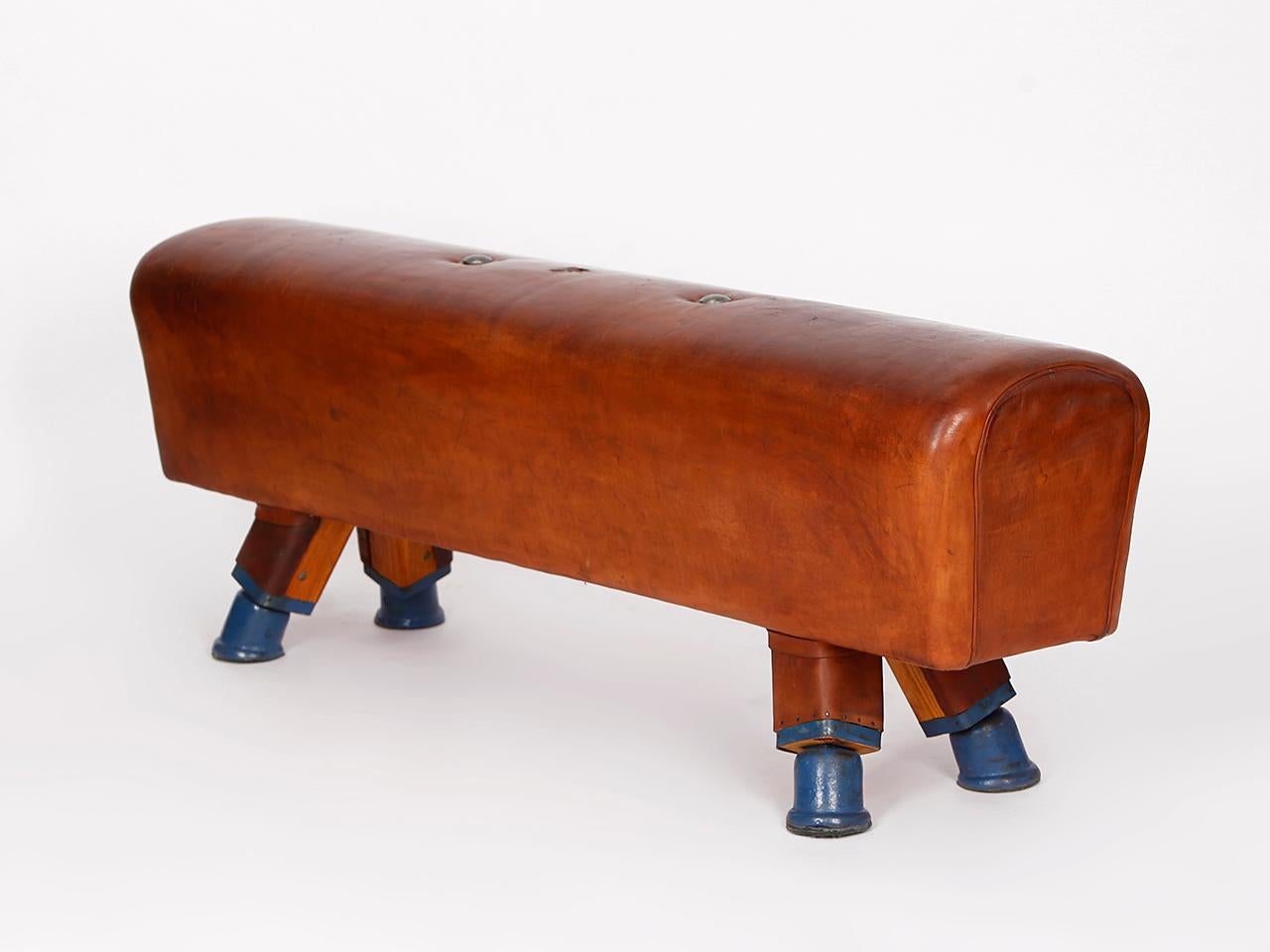 20th Century Gymnastic Leather Pommel Horse Bench, 1930s