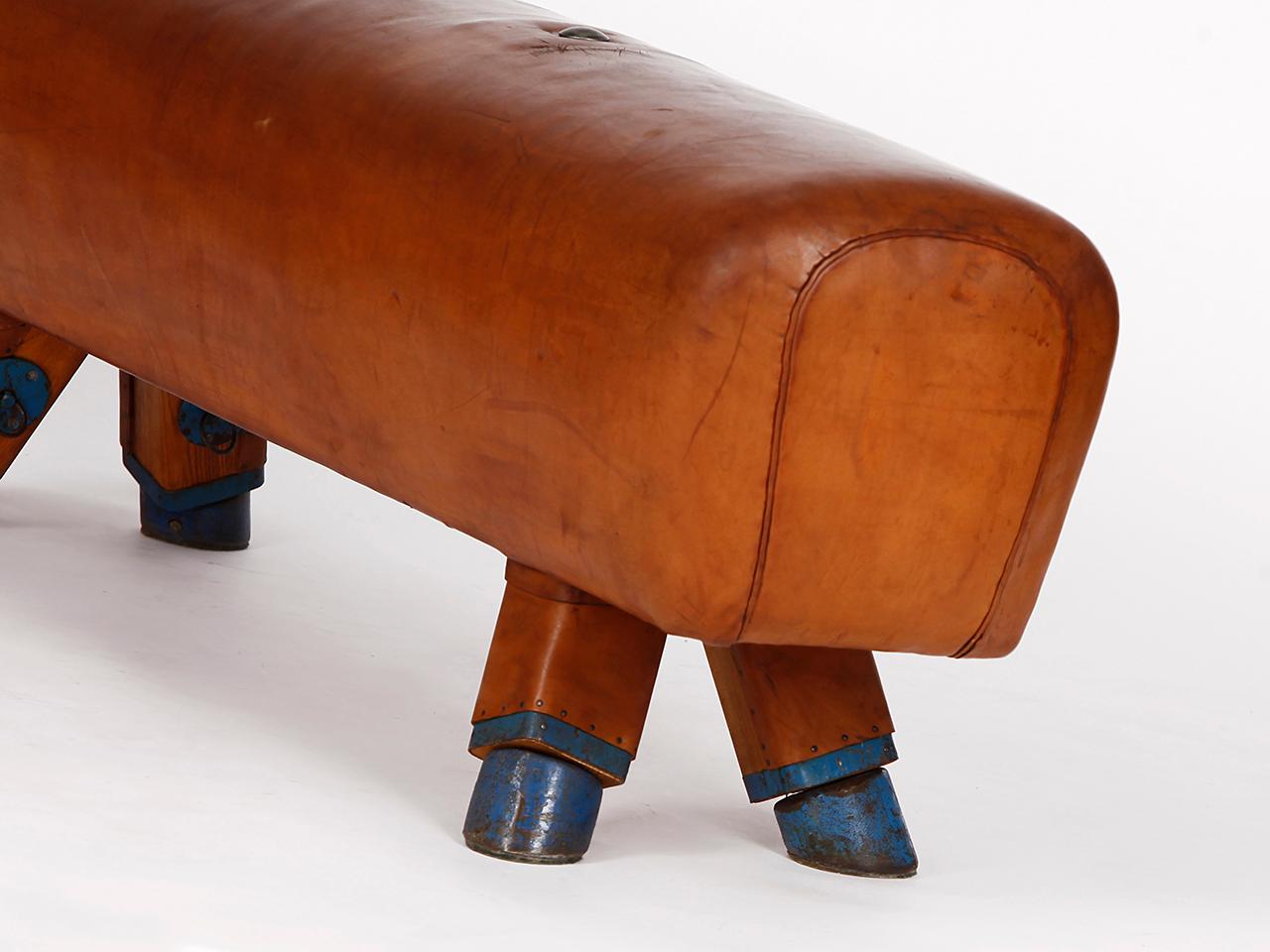 Gymnastic Leather Pommel Horse Bench, 1930s 1