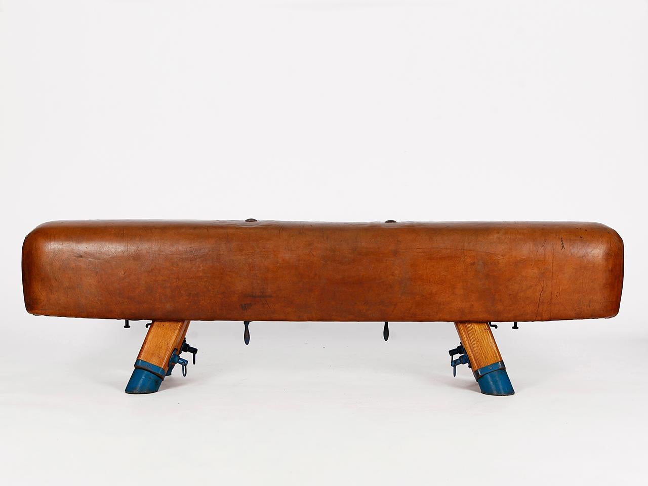 Gymnastic Leather Pommel Horse Bench, 1930s 2