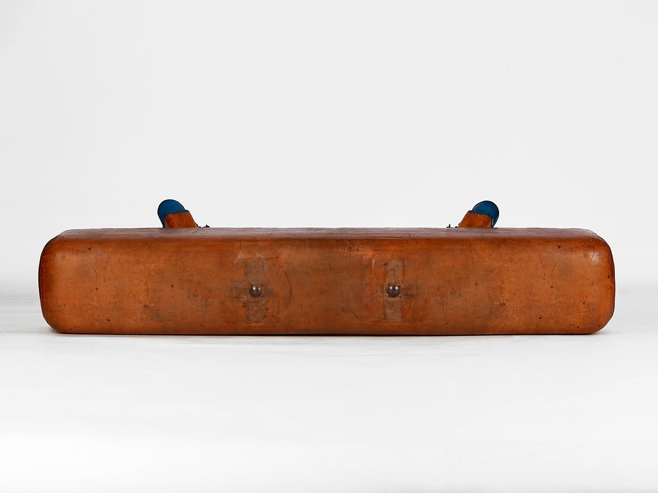Gymnastic Leather Pommel Horse Bench, 1930s 3