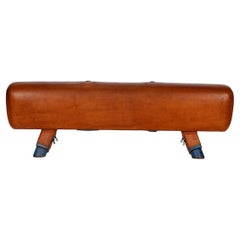 Vintage Gymnastic Leather Pommel Horse Bench, 1930s