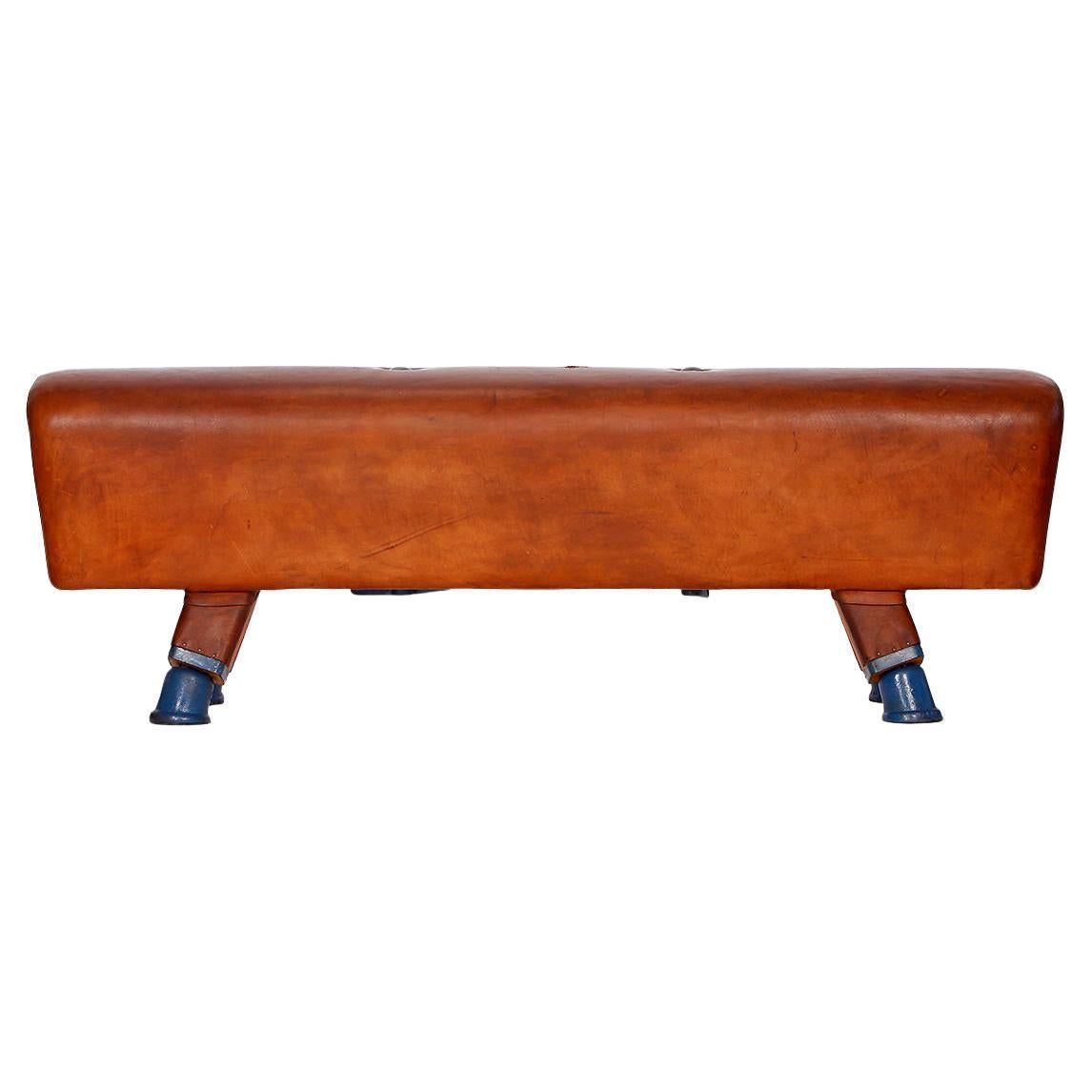 Gymnastic Leather Pommel Horse Bench, 1930s