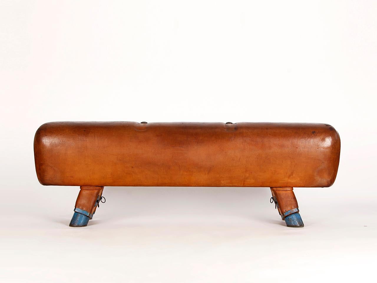 Industrial Gymnastic Leather Pommel Horse Bench, 1930s, Restored