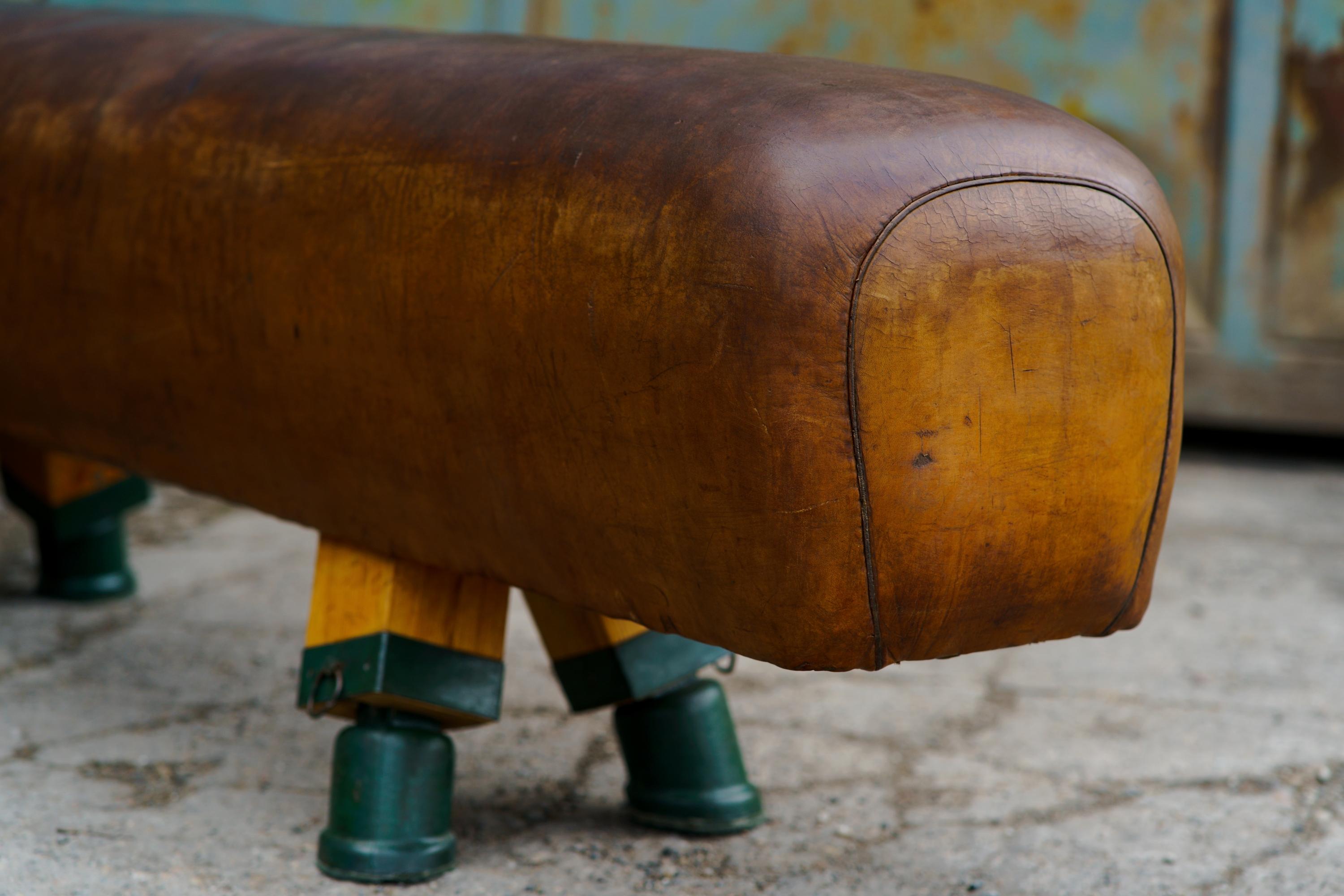 Mid-20th Century Gymnastic Leather Pommel Horse Bench, 1930s, Restored