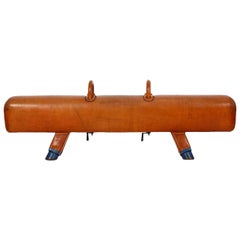 Gymnastic Leather Pommel Horse Bench, 1930s, Restored