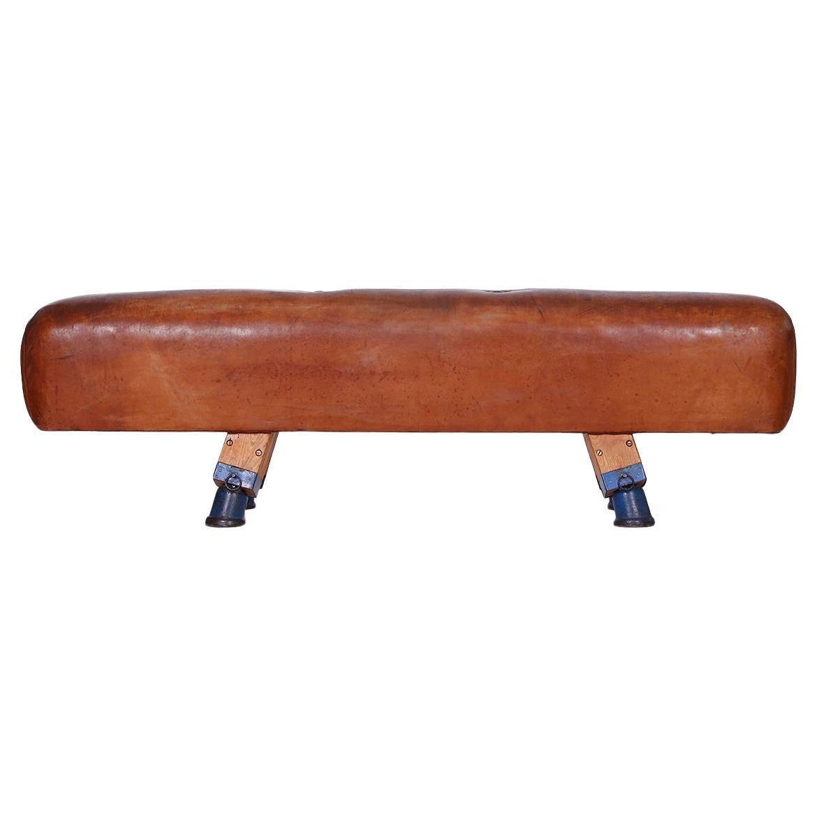 Gymnastic Leather Pommel Horse Bench Long Top, 1930s For Sale