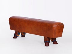 Gymnastic Leather Pommel Horse Bench Top, 1930s