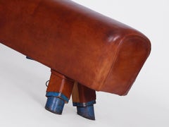 Gymnastic Leather Pommel Horse Bench Top, 1930s