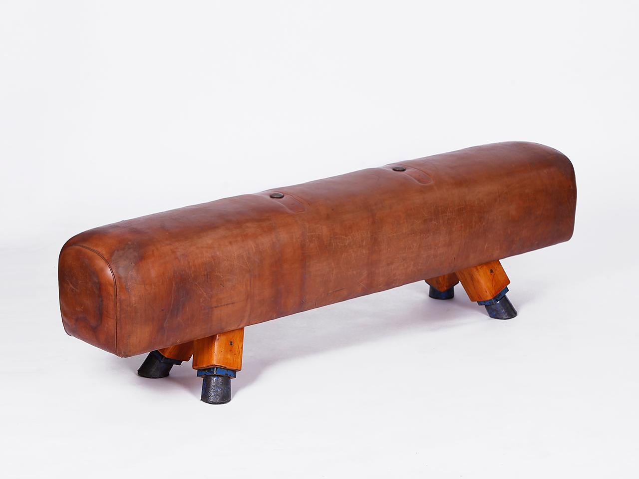 Industrial Gymnastic Leather Pommel Horse Bench Top, 1930s For Sale