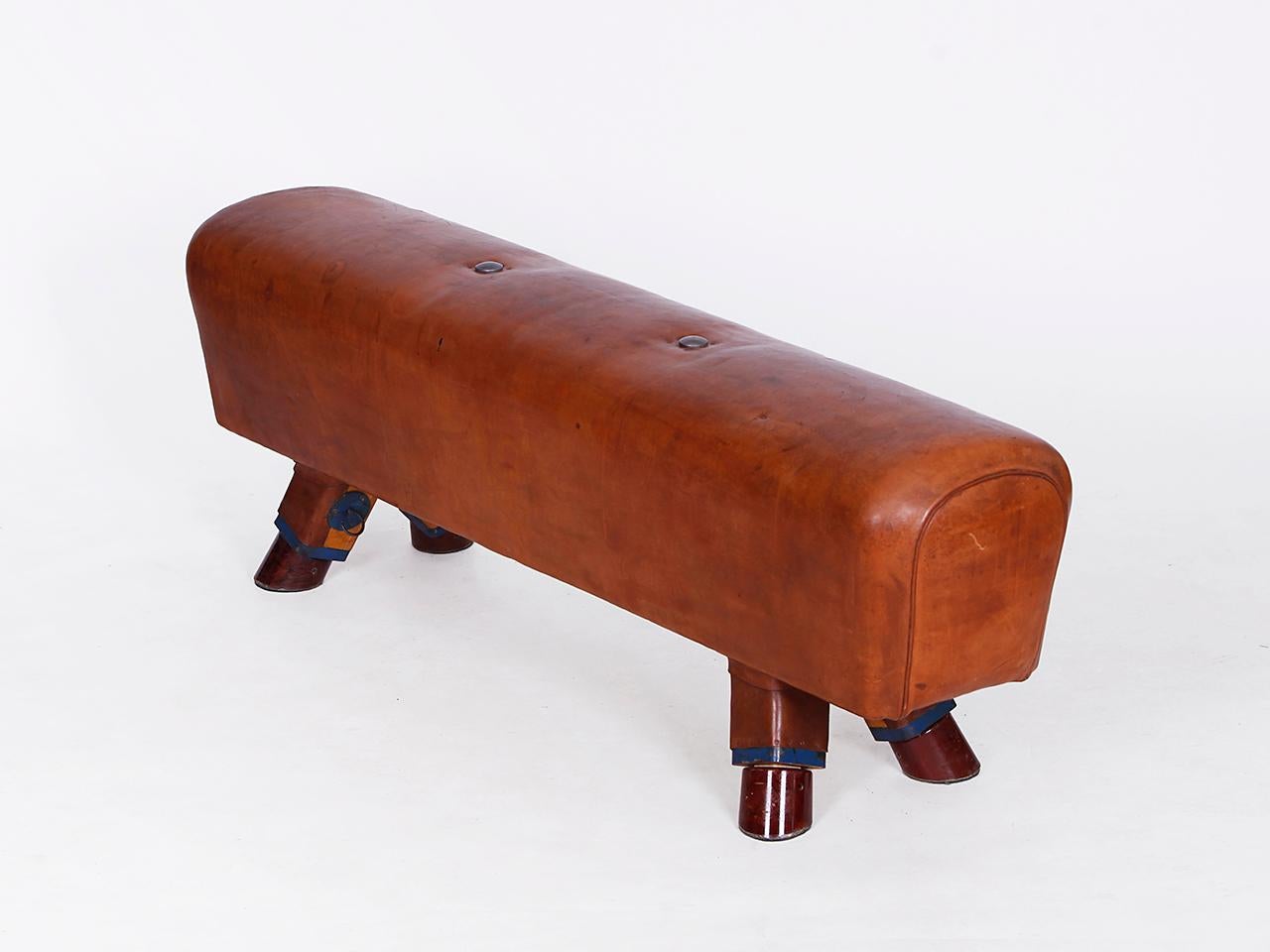 Gymnastic Leather Pommel Horse Bench Top, 1930s In Good Condition For Sale In Wien, AT
