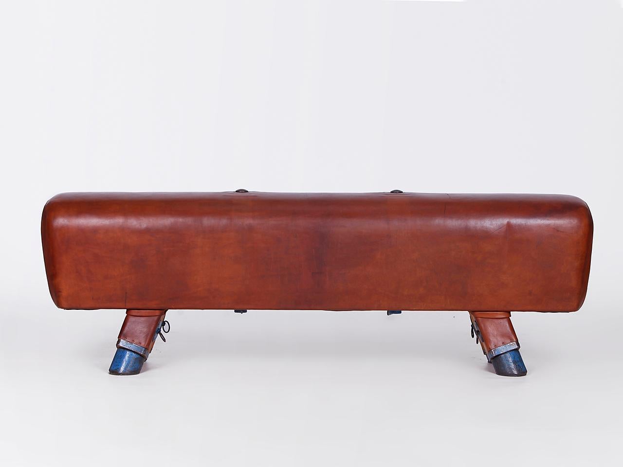 Industrial Gymnastic Leather Pommel Horse Bench Top, 1930s For Sale