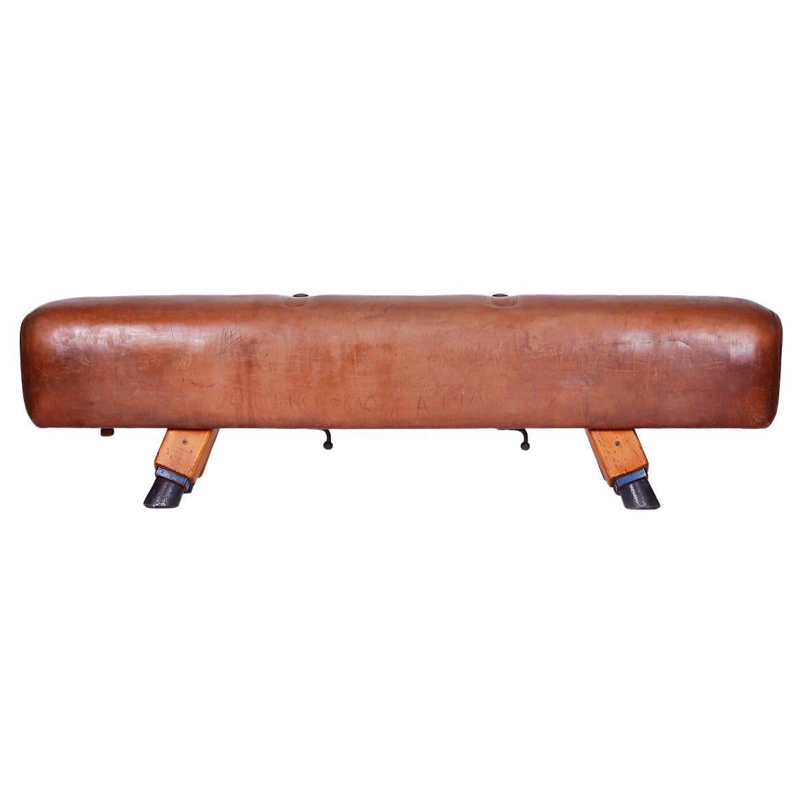 Gymnastic Leather Pommel Horse Bench Top, 1930s For Sale