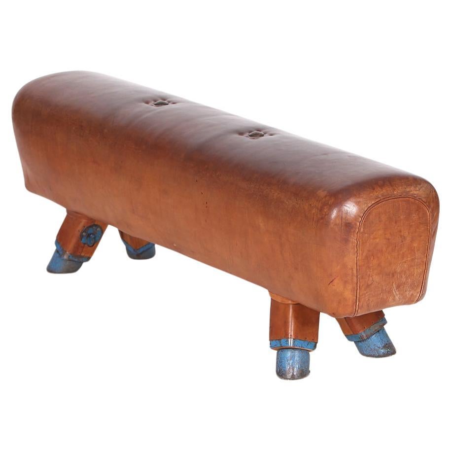 Gymnastic Leather Pommel Horse Bench Top, 1930s