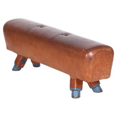 Gymnastic Leather Pommel Horse Bench Top, 1930s