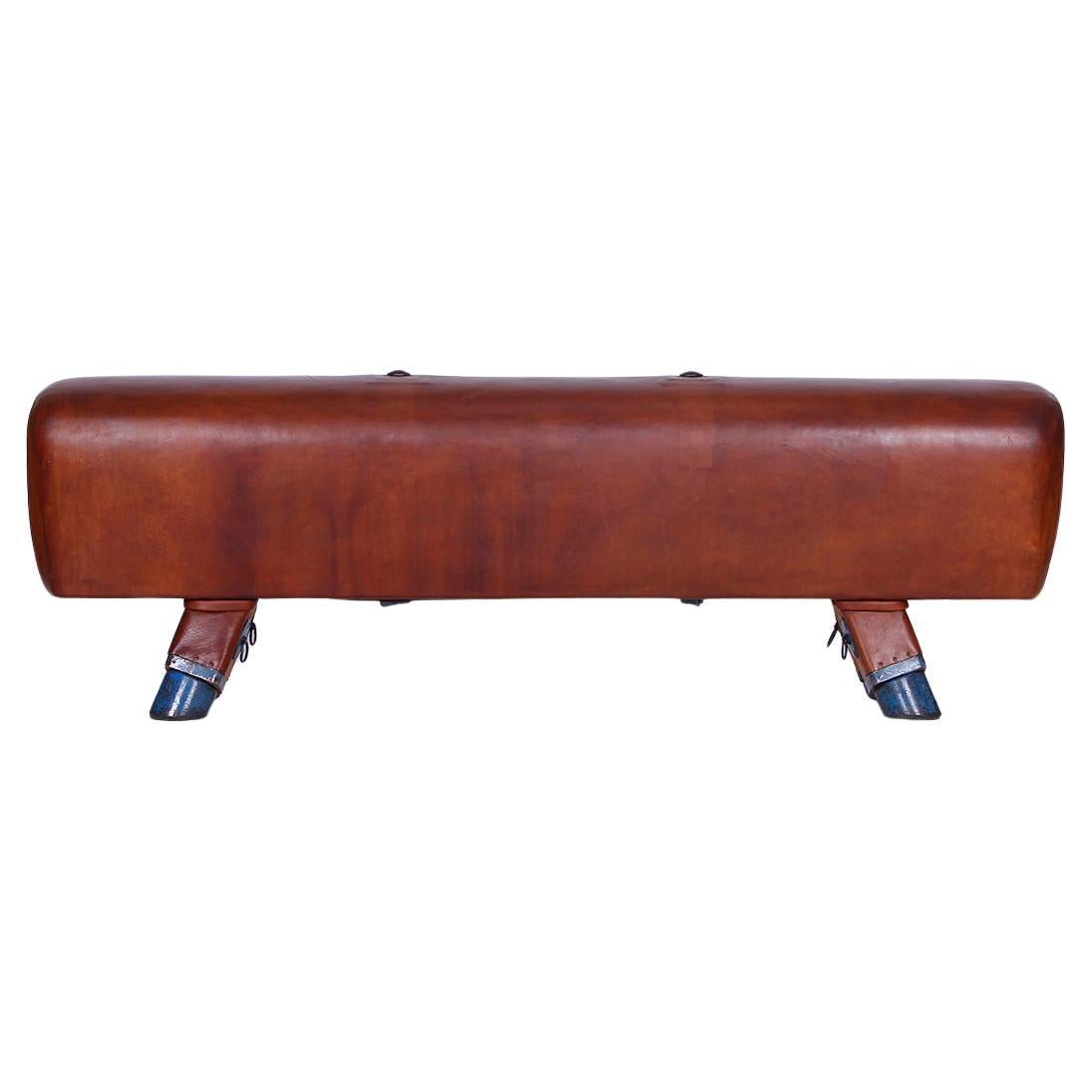 Gymnastic Leather Pommel Horse Bench Top, 1930s