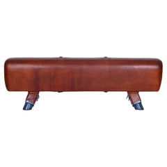 Gymnastic Leather Pommel Horse Bench Top, 1930s