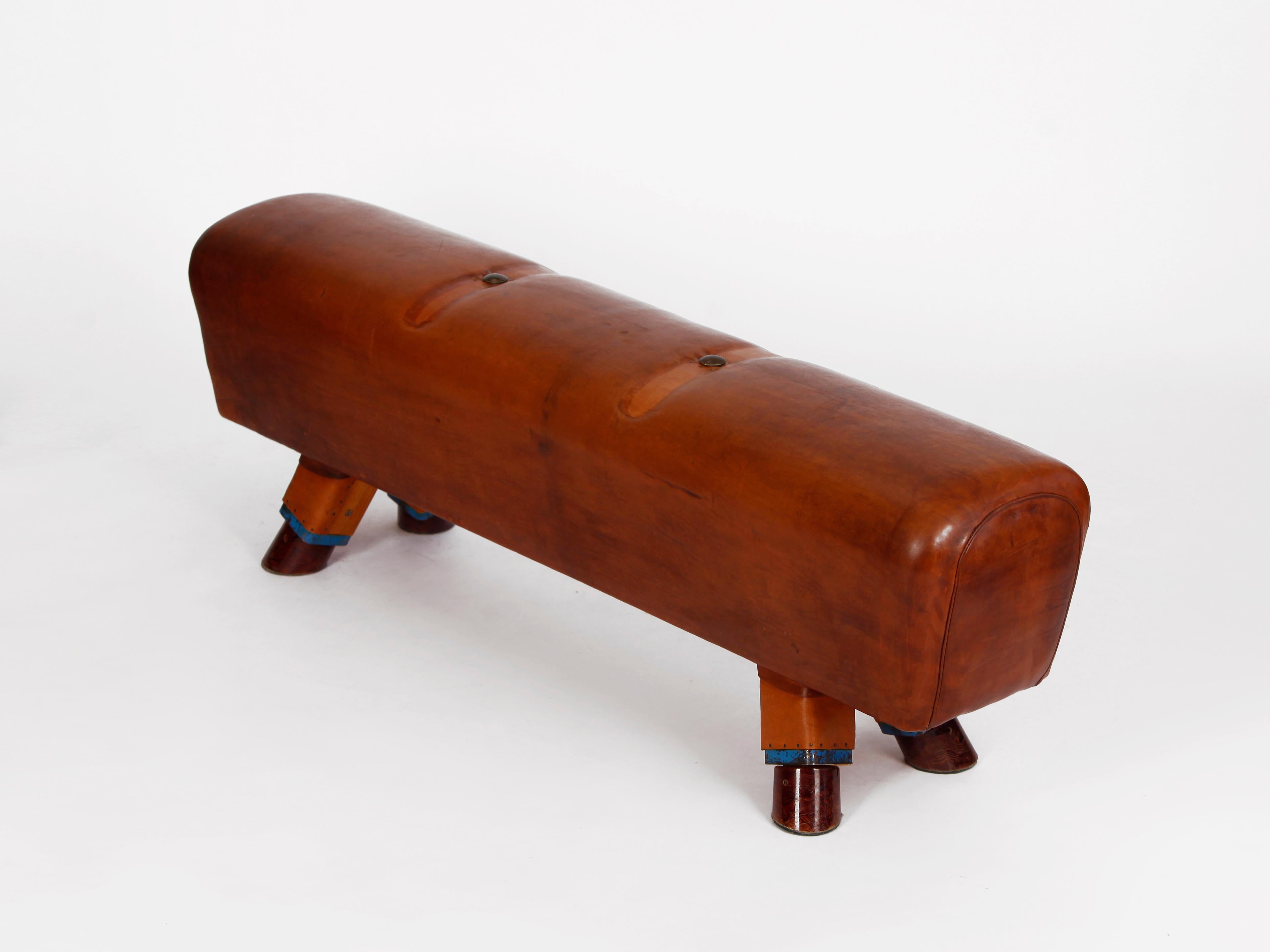 Gymnastic Leather Pommel Horse Bench with Wooden Handles, 1930s 1