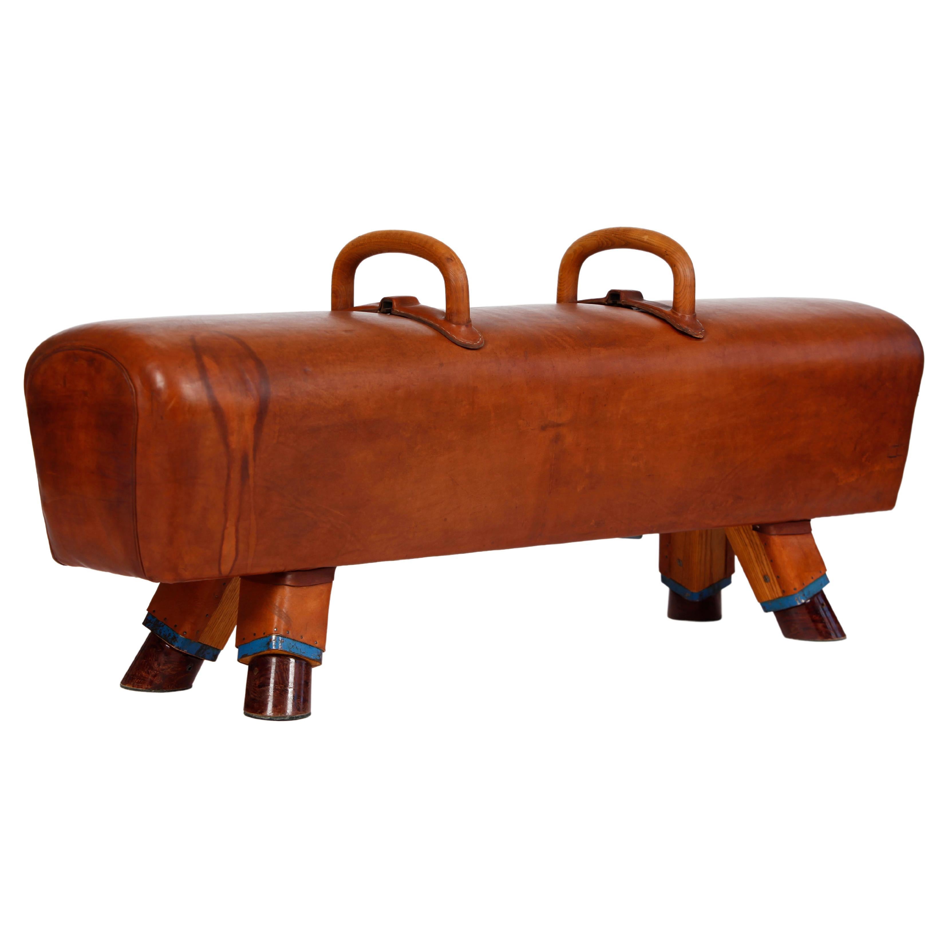 Gymnastic Leather Pommel Horse Bench with Wooden Handles, 1930s