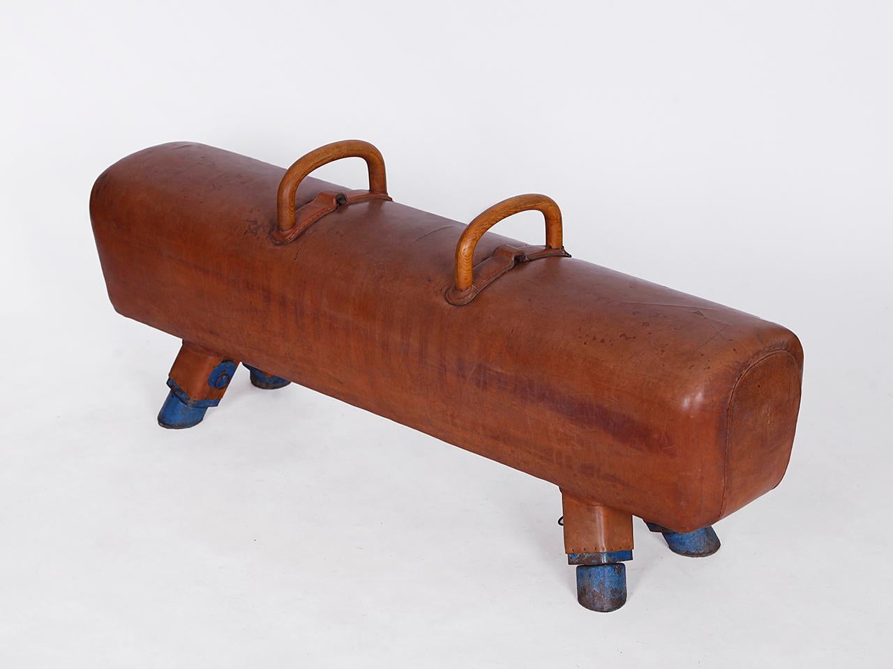 wooden pommel