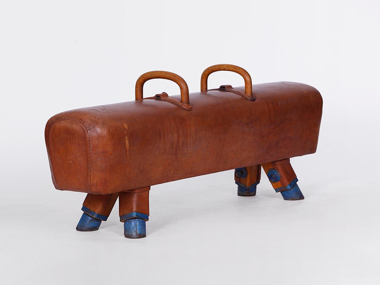 Czech Gymnastic Leather Pommel Horse Bench with Wooden Handles Top, 1930s