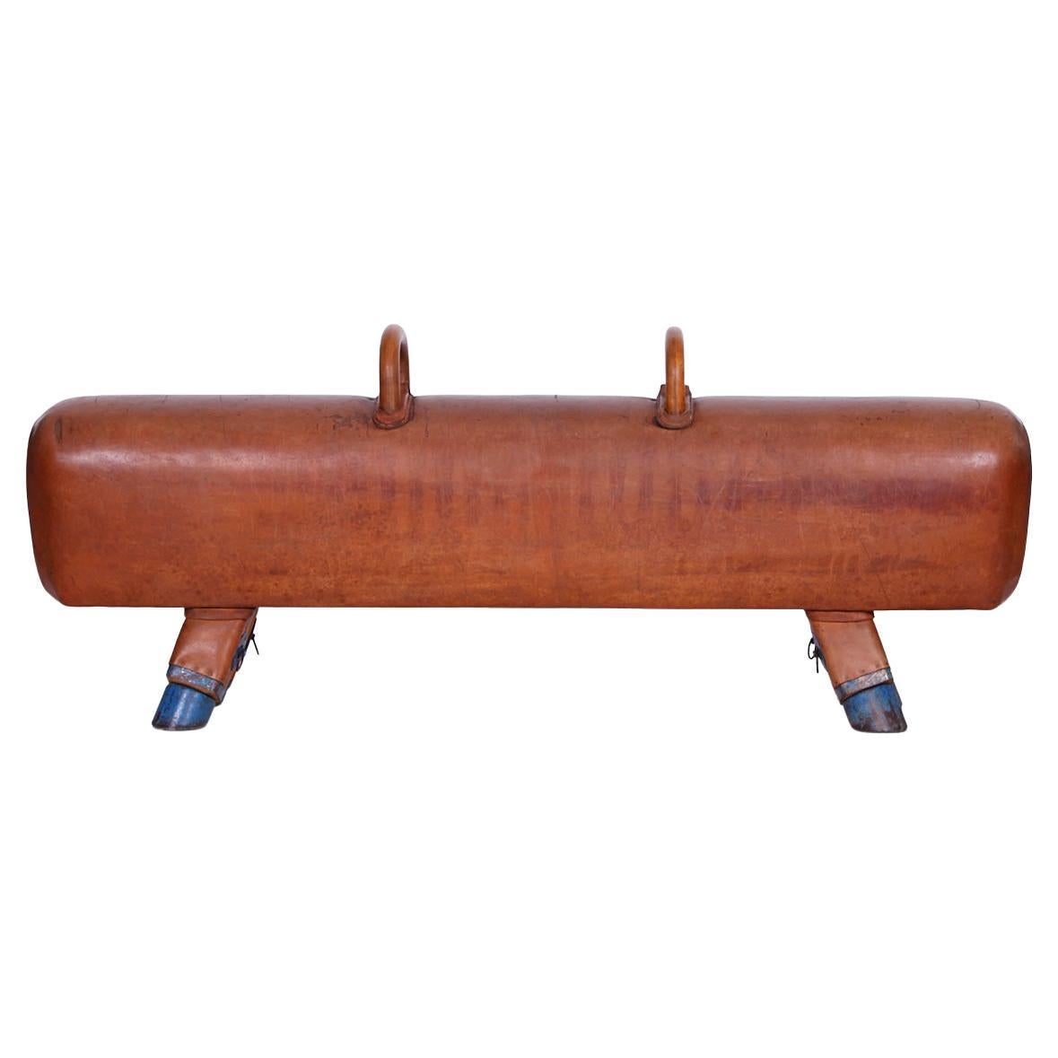 Gymnastic Leather Pommel Horse Bench with Wooden Handles Top, 1930s