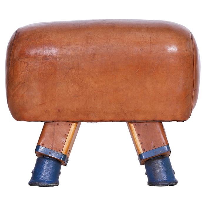 Tabouret de salle de sport vintage en cuir tchèque avec cheval pommelé, années 1930 en vente