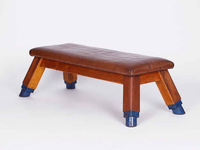 Gymnastic Vintage Leather Pommel Horse Gym Bench Top, 1930s For Sale at