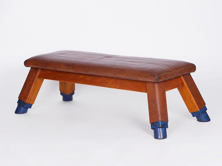 Gymnastic Vintage Leather Pommel Horse Gym Bench Top, 1930s For Sale at