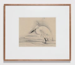 Heron in the stream (#002591)