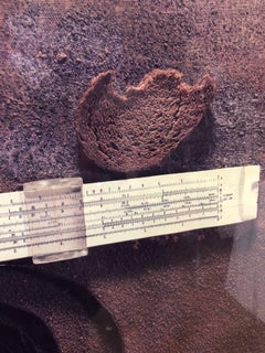 Vintage Large Format Avant Garde Polaroid 20X24 Photograph