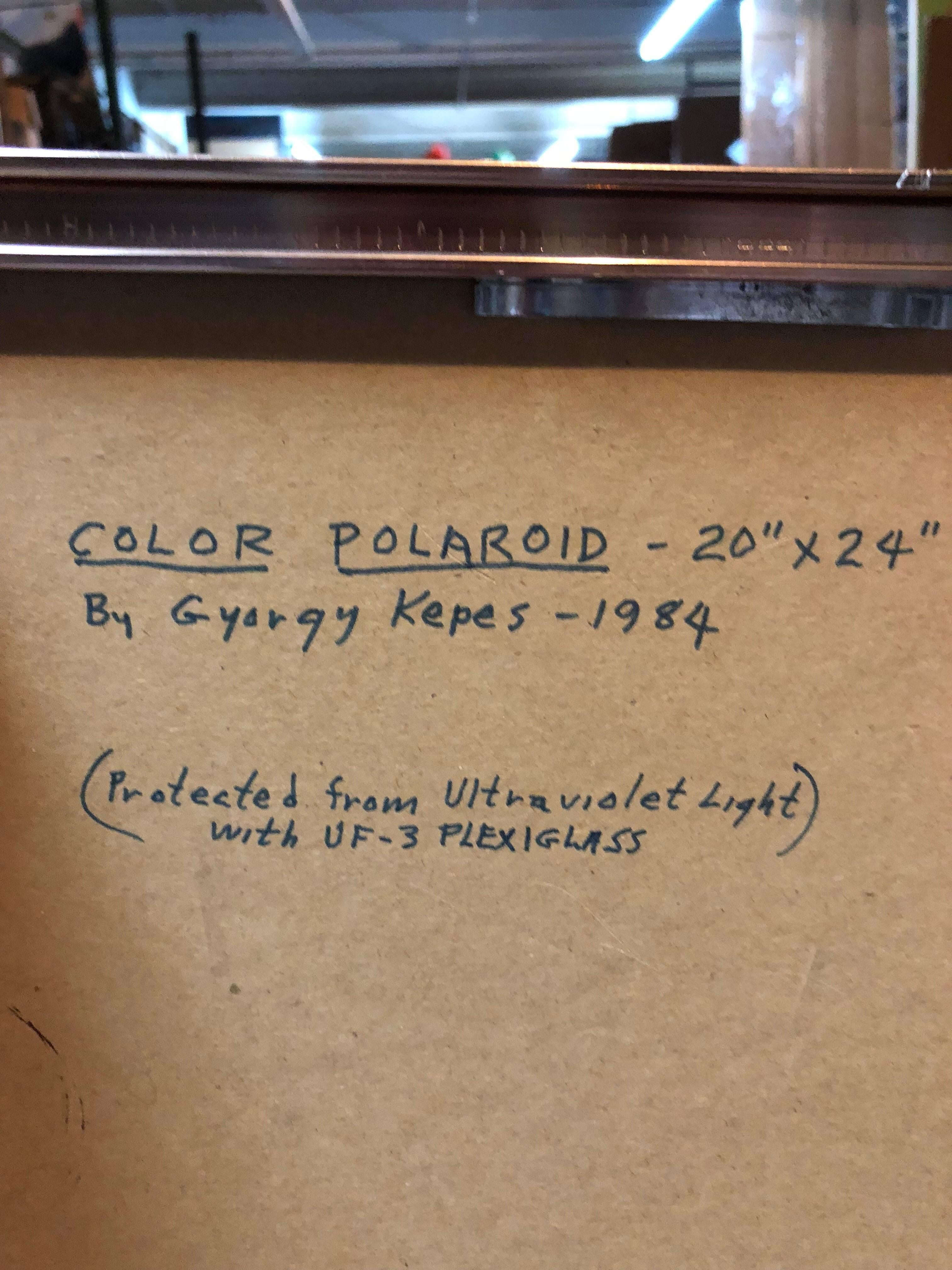 Désolé pour le reflet sur le plexi. Au début des années 1980, la Polaroid Foundation a invité le peintre et photographe d'origine hongroise György Kepes (1906-2001) à utiliser l'appareil photo Polaroid 20x24. Les compositions soigneusement mises en