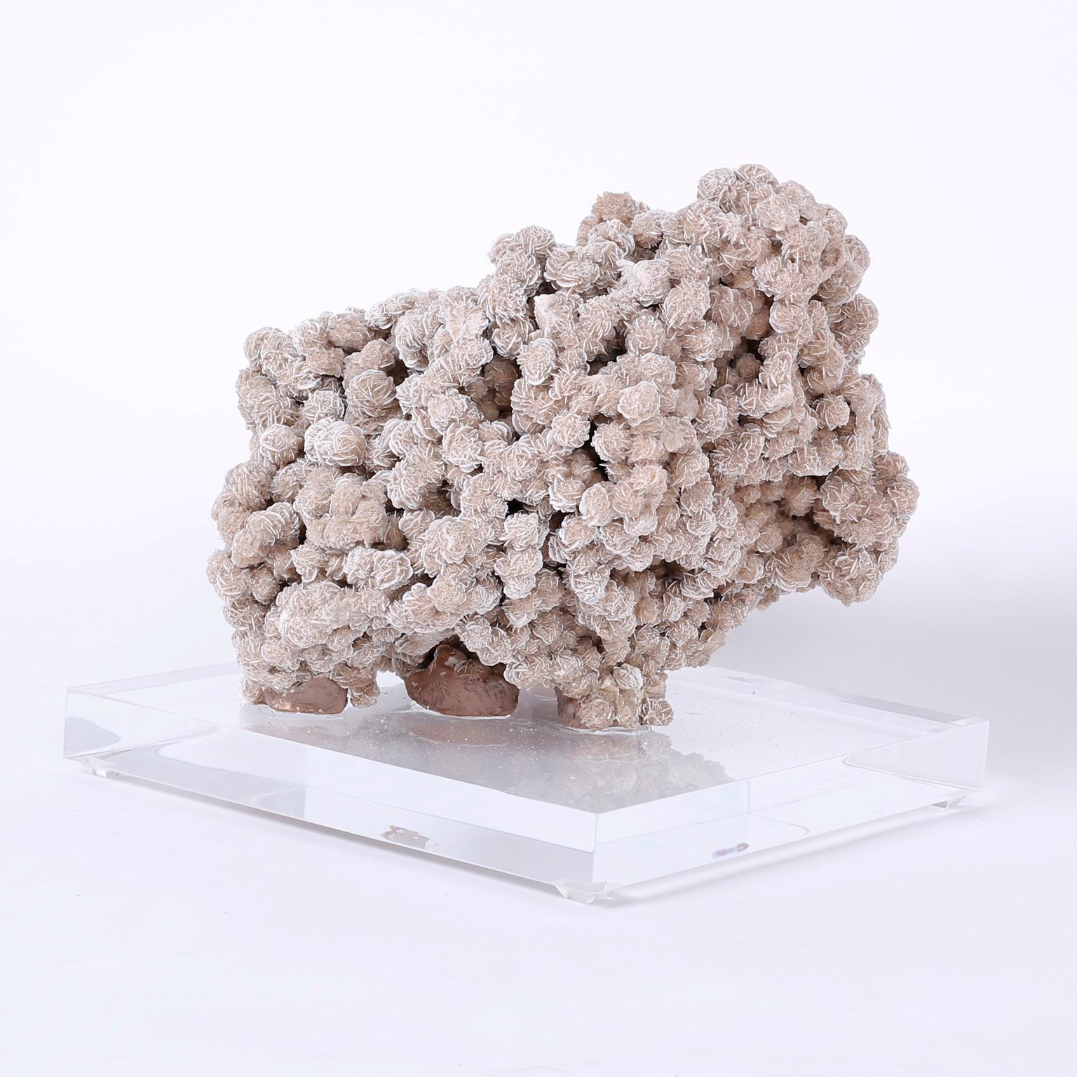 Nicknamed the desert rose, this type of Gypsum aggregate cluster is a geological rarity that is formed during water evacuation. This organic object is presented on a custom lucite Stand to enhance its sculptural elements.
