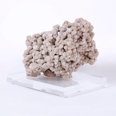 Gypsum "Desert Rose" Geode on Lucite