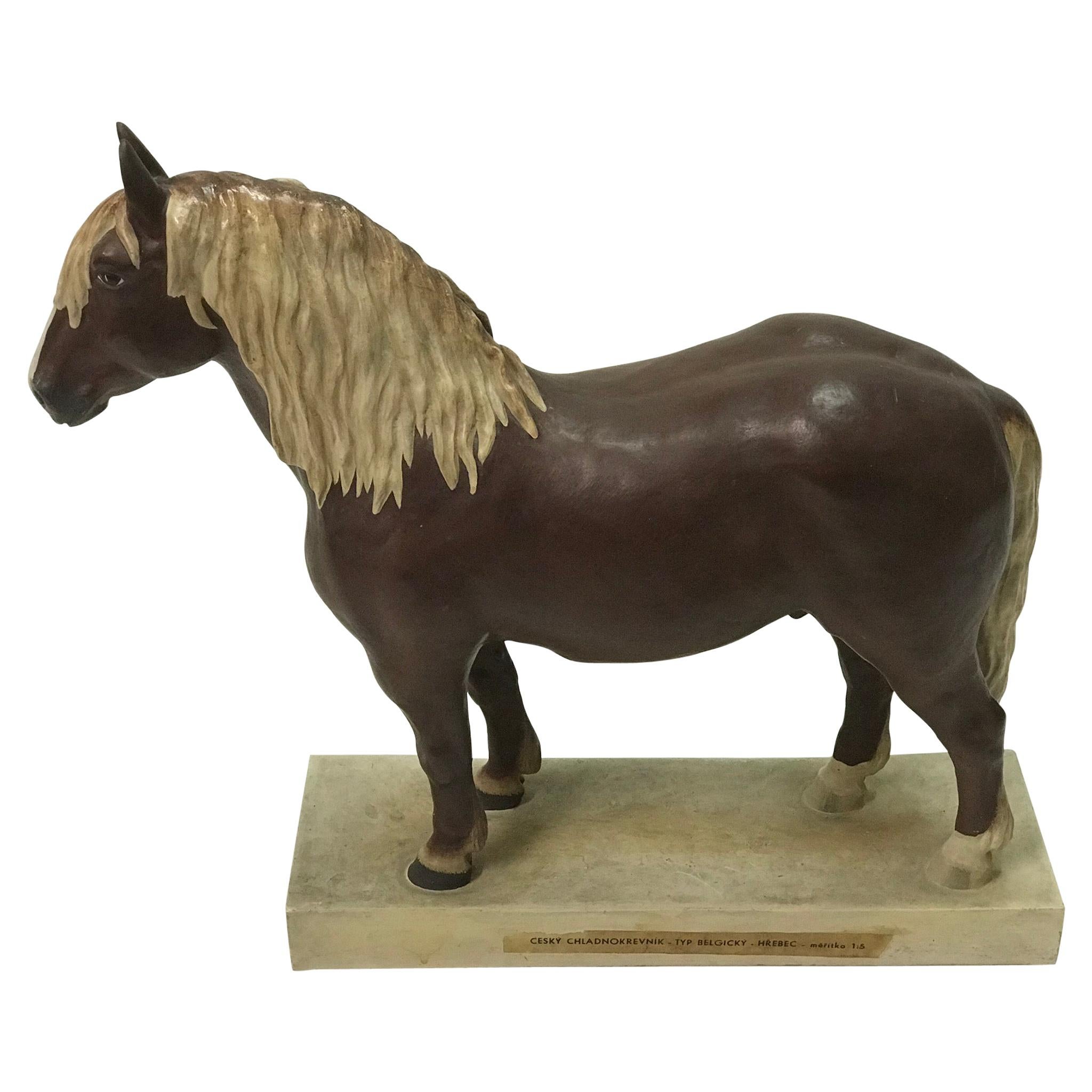 Gypsum School Model of a Horse, "1920" For Sale