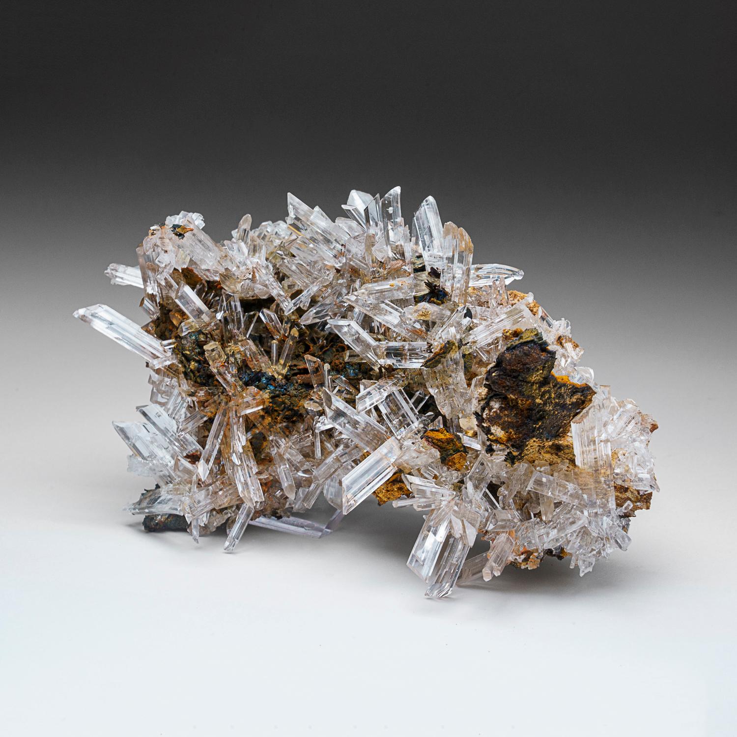 Gypsum var. Selenite from Caverna de Santo Domingo, Chihuahua, Mexico In New Condition For Sale In New York, NY
