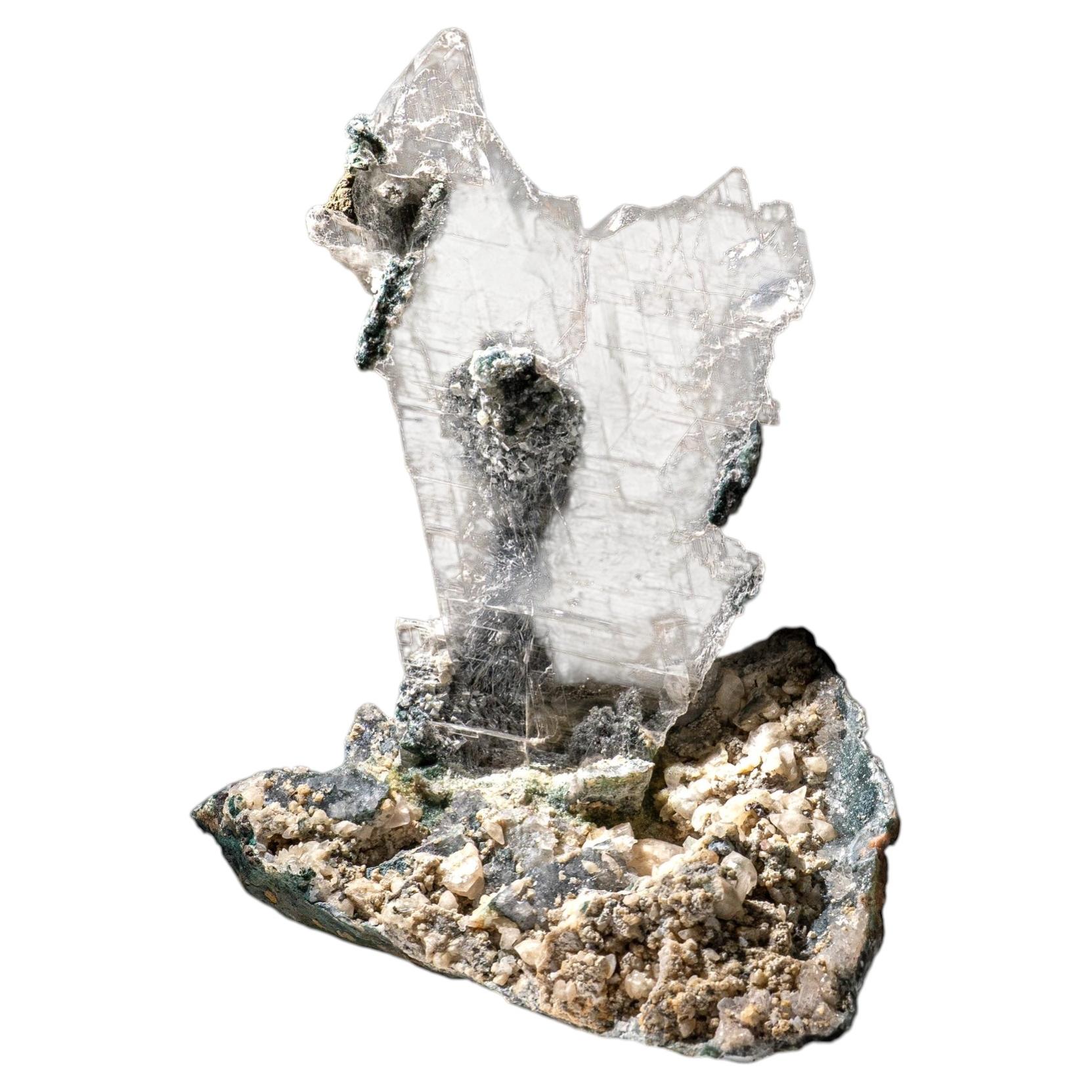 Gypsum Var. Selenite on Matrix from Rio Grande do Sul, Brazil (23 lbs) For Sale