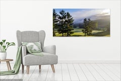 Foggy Morning- Landscape Photograph