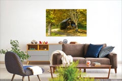 Photographie de cabane dorée - Paysage