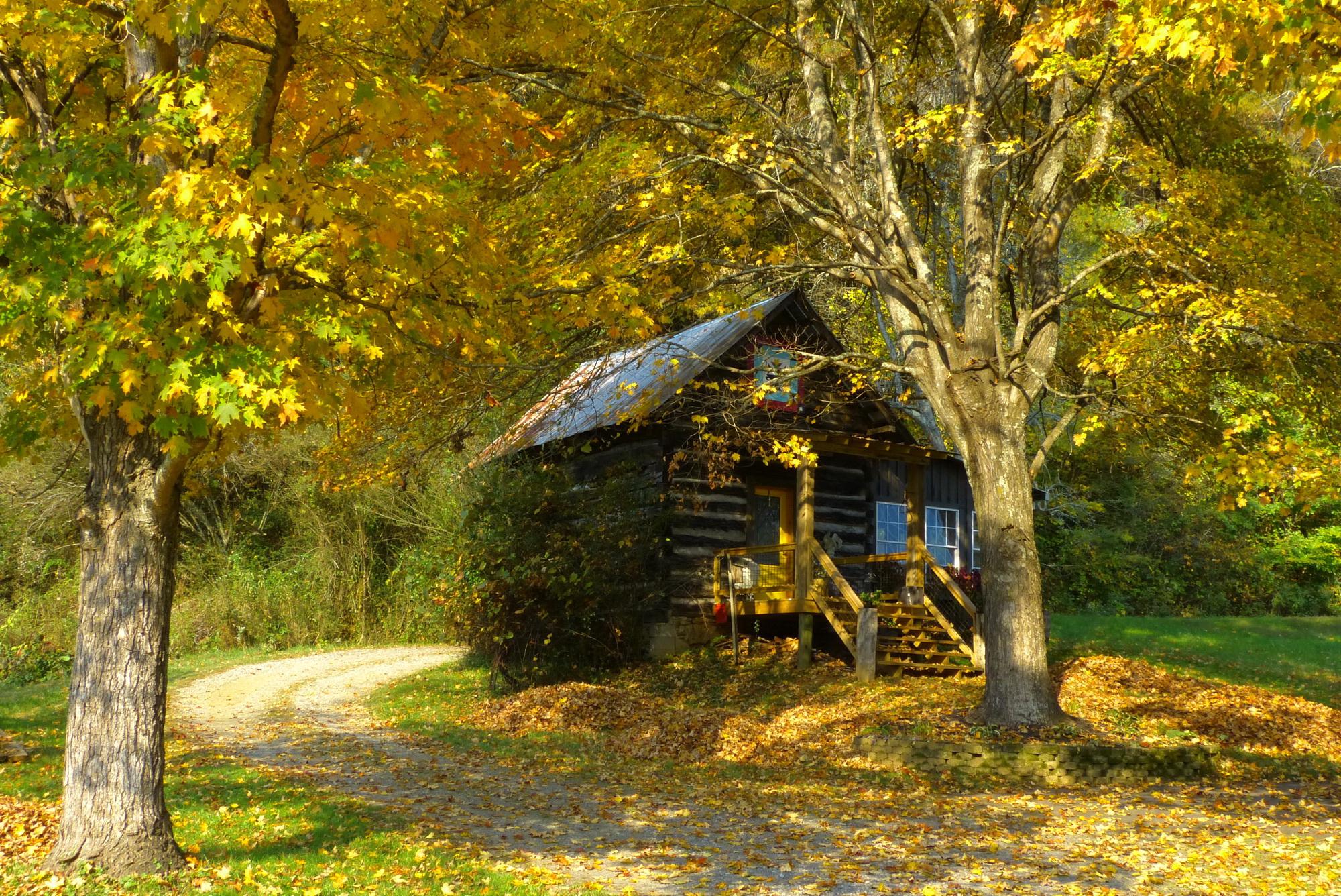 Landscape Photograph H. Allen Benowitz - Photographie de cabane dorée - Paysage