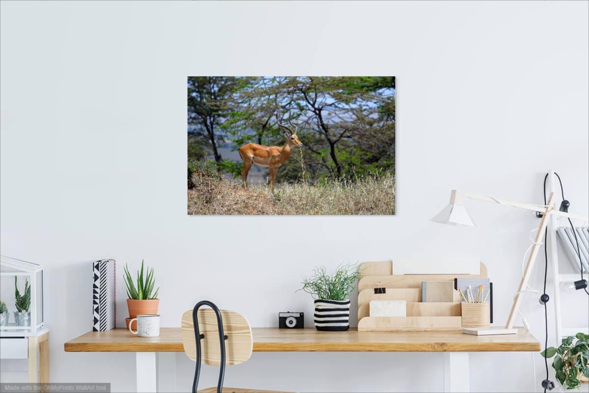 Photographie - Paysage Impala - Gris Landscape Photograph par H. Allen Benowitz