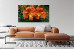 Resplendent Lilies- Landscape Photograph