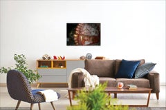 Sole-Soul; Color Photgraphy, Sirgiriya, Sri Lanka- Photograph