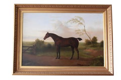 Animal Paintings
