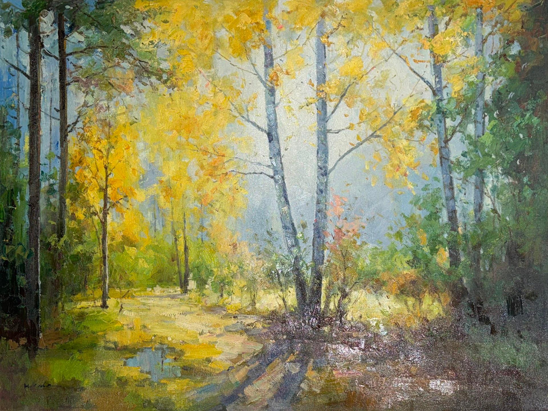 Forest Glow