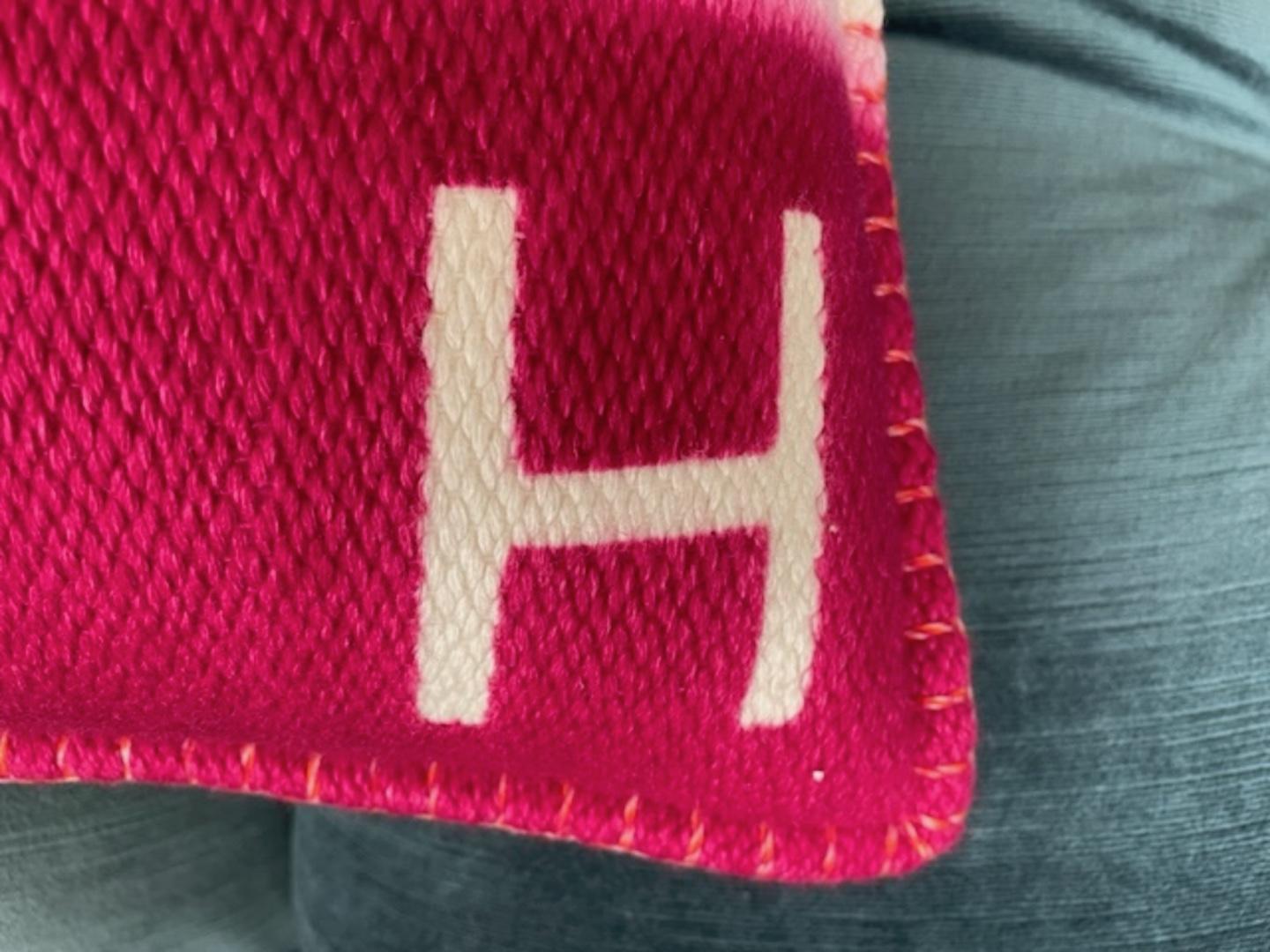 H Dye Pillow by Hermès 2