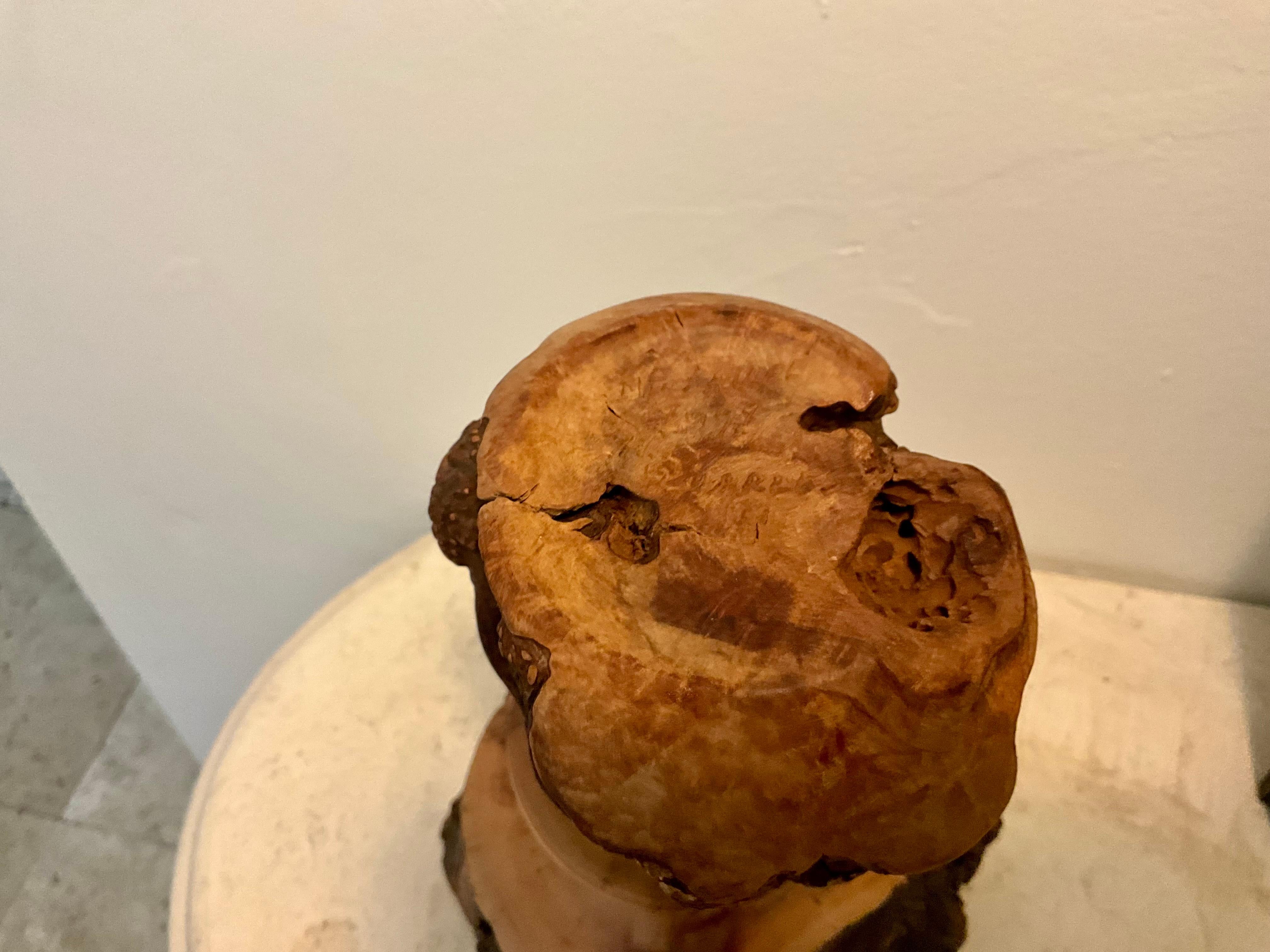 Late 20th Century H. Quarles 1991 Signed Burl Wood Freeform Live Edge Bottle Sculpture For Sale