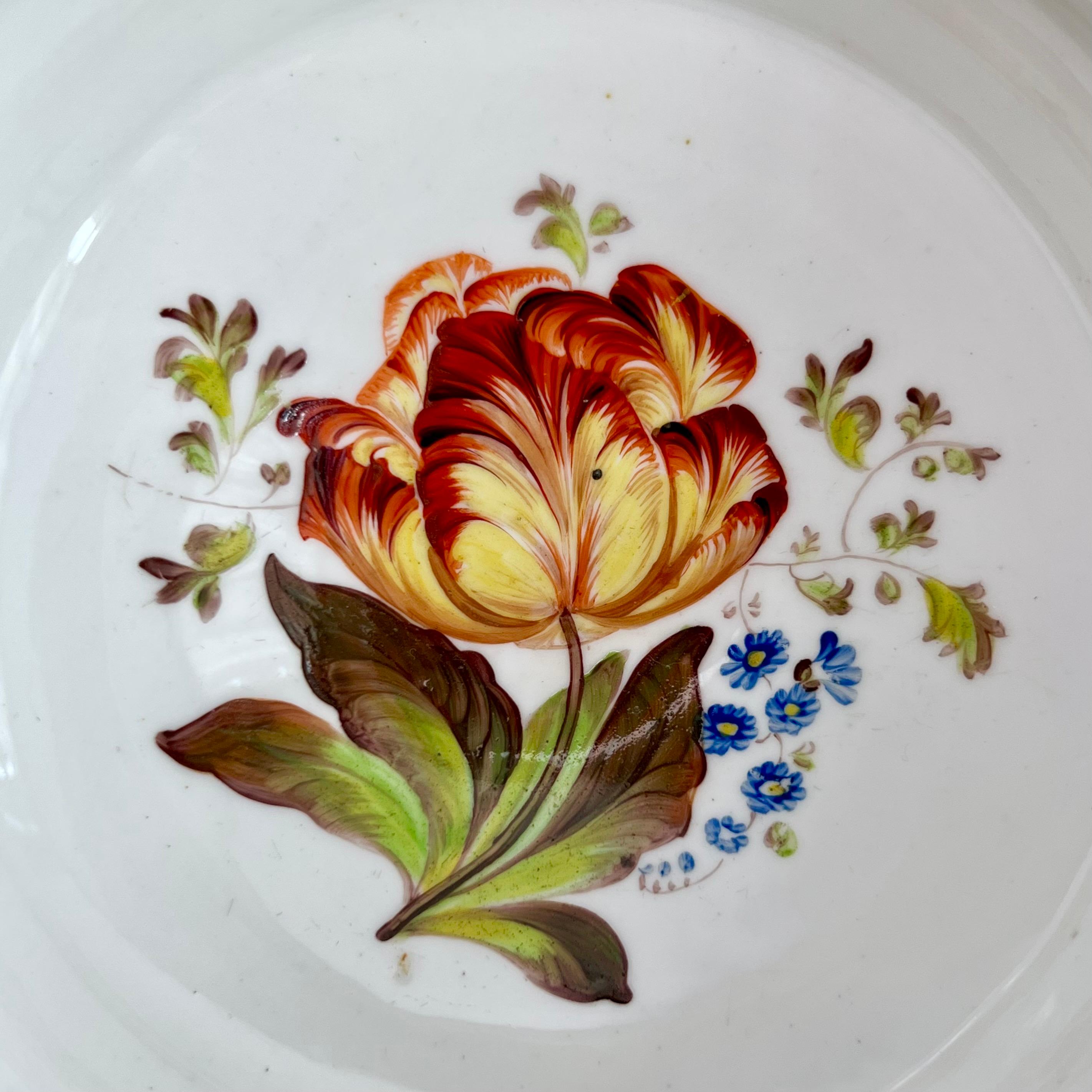 Début du XIXe siècle Paire de soucoupes à sauce H & R Daniel, en forme de Shrewsbury, fleurs, Régence, vers 1827 en vente